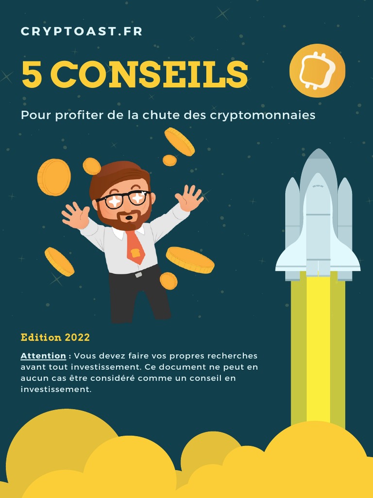 5 Conseils Profiter Chute Crypto PDF Crytomonnaies Économie
