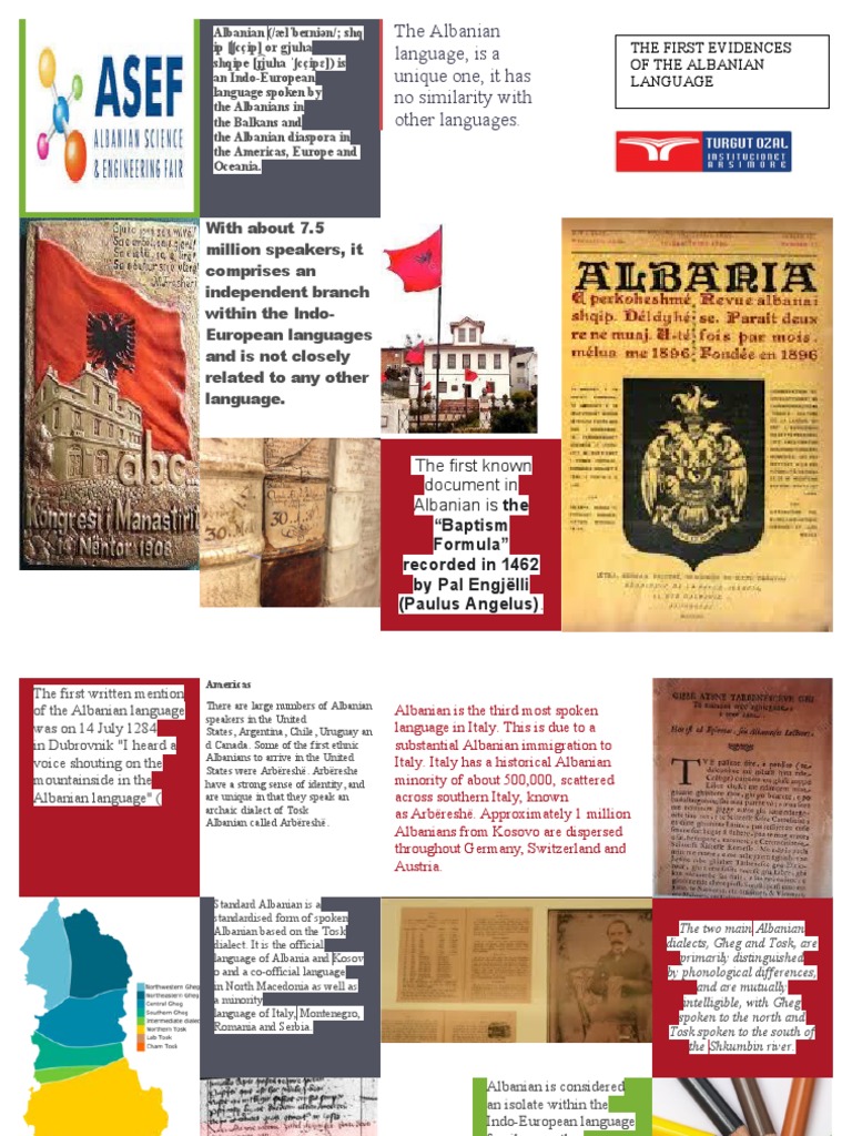 Albanian Language: Unique Indo-European Branch | PDF | Albanians | Albania