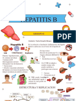 HEPATITIS B Definitivo Mio