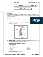 5to. Año - Biología - Guía 4 - La Célula II