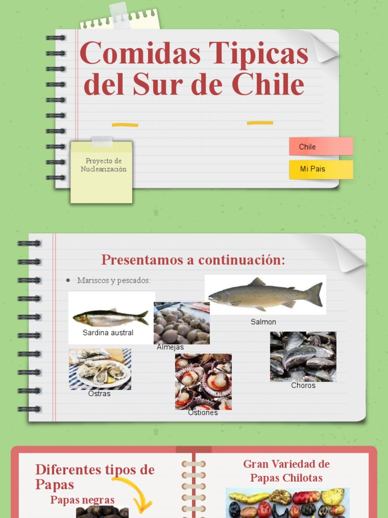 Comidas Típicas del Sur de Chile | PDF | Estilo de vida