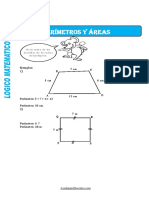 Fichas-De Perimetros y Areas