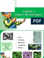 Peligros Microbiologicos - Manuel Blanco - Presentacion