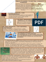 Infografia Anatomia y Fisiologia