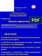 Sistema tegumentario: estructura y funciones de la piel