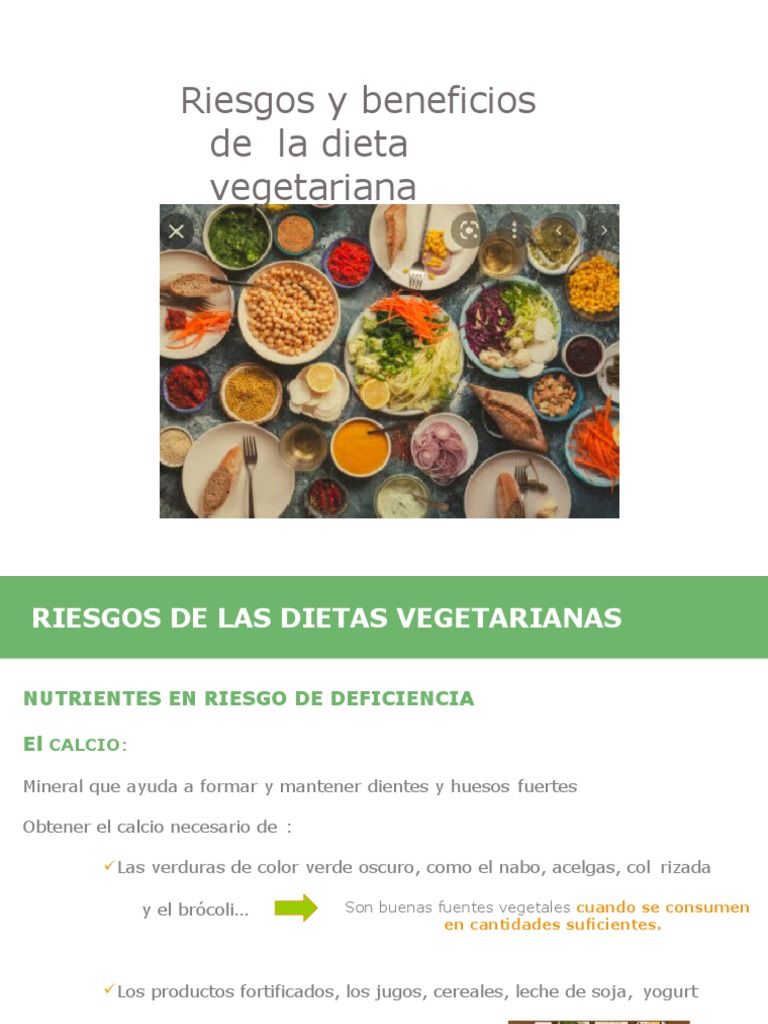 Dietas Vegetarianas Pdf