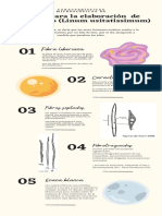 Identificación de Fibras Lino