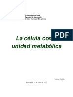 La Célula Como Unidad Metabólica: Yuleiny Cantillo Maracaibo, 15 de Junio de 2022