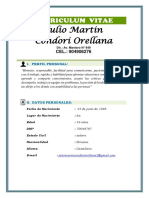 Julio Martin Condori Orellana: Curriculum Vitae