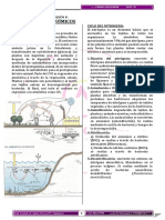 Ciclos Biogeoquímicos:, Carbonato, Combustibles Fósiles