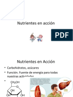 Nutrientes en Acción