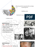 El. Speciale Ex Neurologic Motilitate SNMC SNMP