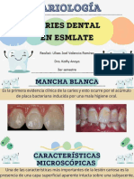 Características micro y macroscópicas de la lesión de caries dental inicial