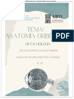 Nadia Martínez 9° B. Tema 1 Anatomía Orbitaria