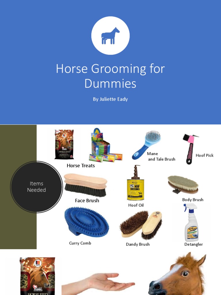 Horse Grooming For Dummies by Juliette Eady PDF