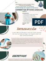 Taller de Metodologia Del Cuidado de Enfermeria: Conocimientos Éticos Legales