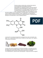 Vitamina B2 - trabalho 