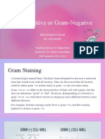 Gram-Positive or Gram-Negative: Hiba Khaled Al Kurdi ID: 202100288