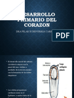 Desarrollo Corazon 1 Odo