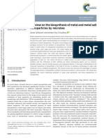 Gahlawat Et Al 2019 A Review On The Biosynthesis of Metal and Metal Salt