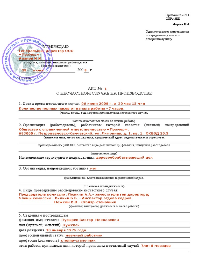 N1 Example | PDF