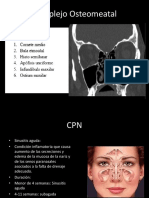 Complejo Osteomeatal