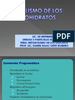 Metabolismo de Los Glucidos