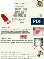 Patología Especial Veterinaria: Gabriel Diego Quispe Quispe Docente: Mabel Alexandra Arze Herrera