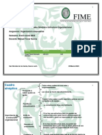 Actividad 2 - Cuadro Sinóptico Estructura Organizacional 1951223