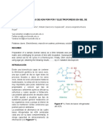 INFORME Practica 4 Presencial. ANÁLISIS DE MUESTRAS DE ADN POR PCR Y ELECTROFORESIS EN GEL DE AGAROSA Sebastian Reina, William Arce y Jessica Rivera