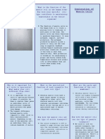 Cell Project Brochure - SP