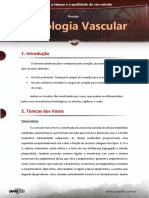 Resumo - Histologia Vascular