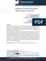 4638-Texto Del Artículo-18259-1-10-20230207