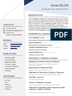 232 Curriculum Vitae Rellenar Editar