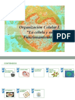 Clase 2 Celula I Membrana Plasmatica