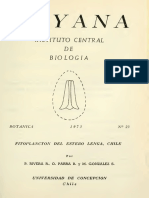 Fitoplancton del Estero Lenga