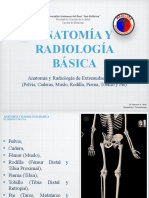 Anatomia y Radiologia