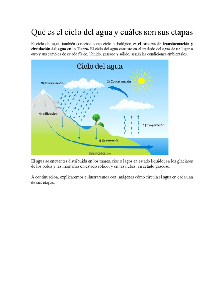 Qué Es El Ciclo Del Agua y Sus Etapas - 230123 | PDF | El ciclo del ...