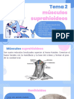Músculos Suprahioideos: Tema 2