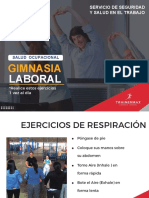Manual - Ejercicios - Pausas - Activas - Gimnasia - Laboral - Trainermax - 2020-1167382
