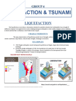 Liquefaction Tsunami Group 4