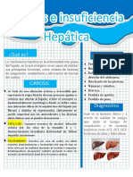 Cirrosis, Insuficencia Hepatica, Hipertension Porta