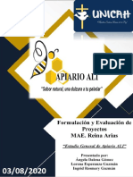 APIARIO ALI - Informe Final Word
