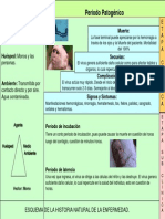 Historia Natural de La Enfermedad Virus Motaba