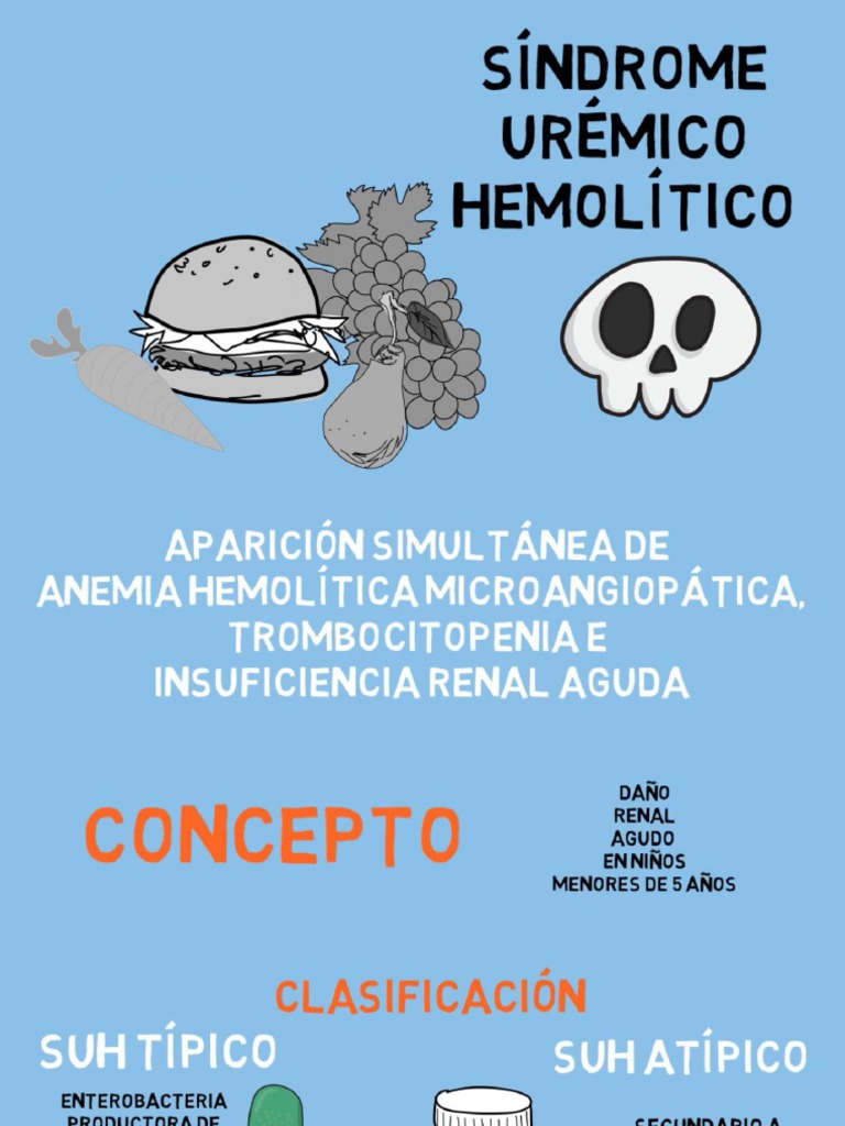 SUH | PDF