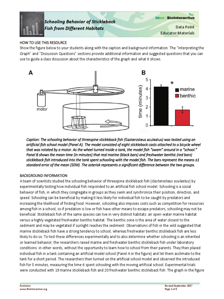 Stickleback Fish Schooling Behavior Study | PDF | Structural Equation ...