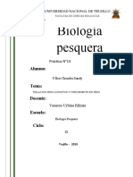 Práctica N 13 Crecieminto en Peso