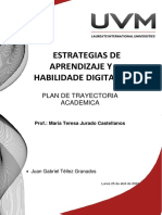 A9 - Estrategias de Aprendizaje y Habilidaes Digitales