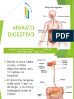 BIO II Aparato-Digestivo-Fisiologia