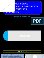Fenomenos Fisicos Moleculares Y Su Relacion Con Los Procesos Biologicos